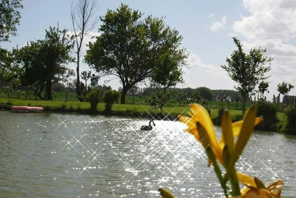 Gite canard Fromelles Esterno foto