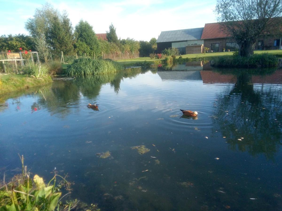 Gite canard Fromelles Esterno foto