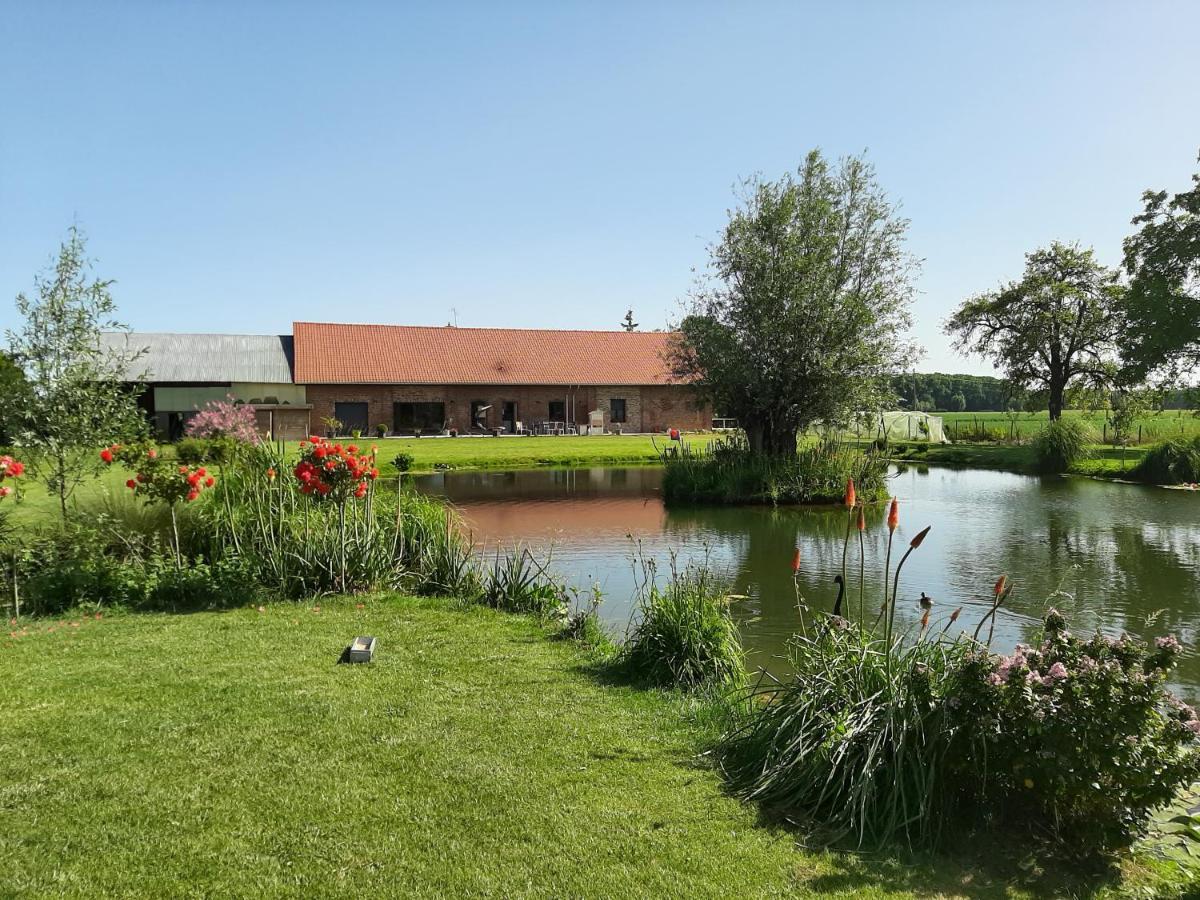 Gite canard Fromelles Esterno foto